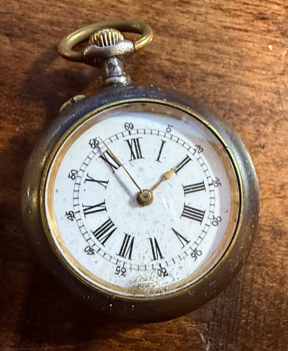 Swiss Ladies Pocket Watch Mechanical Pendant Watch Roman Numeral Dial